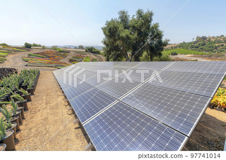 Ground-mounted solar panels in a large field of colorful ornamental plants Ground-mounted solar panels in a large field of colorful ornamental plants 97741014