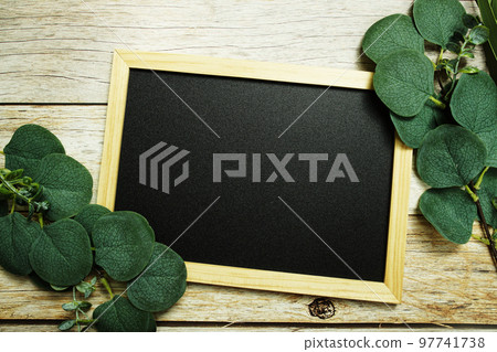 Eucalyptus leaves border frame with space copy on wooden background Eucalyptus leaves border frame with space copy on wooden background 97741738