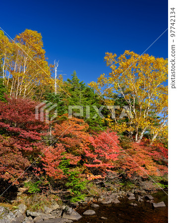 Nagano Tateshina_白駒池的紅葉絕景 Nagano Tateshina_白駒池的紅葉絕景 97742134