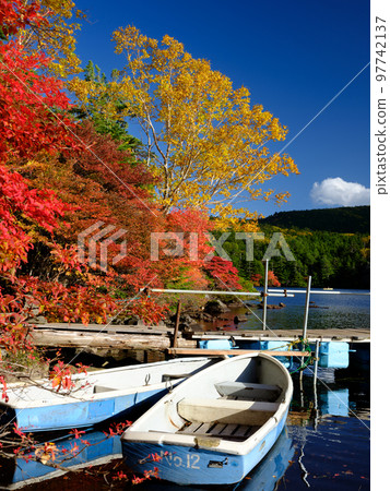 Nagano Tateshina _ Superb view of Shirakoma Pond with colored leaves 97742137