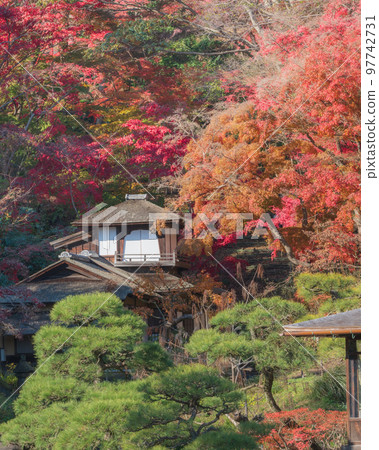 Late autumn trees with twilled eggplants surrounding a Japanese house Late autumn trees with twilled eggplants surrounding a Japanese house 97742731