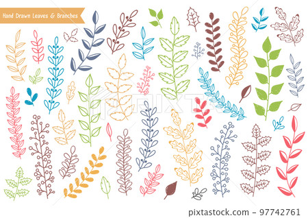 Hand Drawn Leaves and Branches Hand Drawn Leaves and Branches 97742761