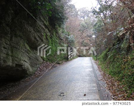 Kamegayazaka in Kamakura City (Kamakura Nanaguchi) Kamegayazaka in Kamakura City (Kamakura Nanaguchi) 97743025