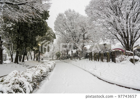 《愛知縣》雪中的名古屋市名城公園 97743657