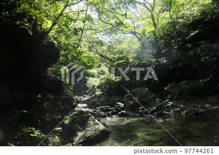 Okuma River Okuma Waterfall Nature Okinawa Okinawa Nature River Trekking Okuma River Okuma Waterfall Nature Okinawa Okinawa Nature River Trekking 97744261