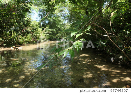 Okuma River Okuma Waterfall Nature Okinawa Okinawa Nature River Trekking Okuma River Okuma Waterfall Nature Okinawa Okinawa Nature River Trekking 97744307