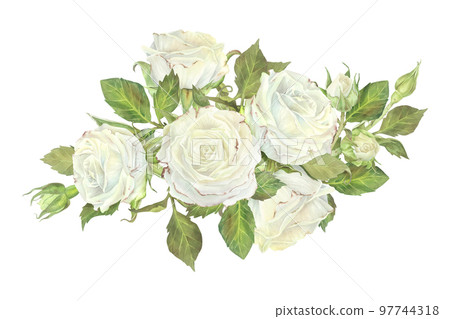 White roses with leaves composition. Watercolor illustration.Isolated on a white background.For design of sticker, dishes, greeting card, stationery, cosmetics, perfumes packaging, wedding invitation White roses with leaves composition. Watercolor illustration.Isolated on a white background.For design of sticker, dishes, greeting card, stationery, cosmetics, perfumes packaging, wedding invitation 97744318