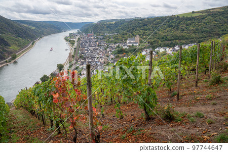 Oberwesel, Rhine valley, Rhineland-Palatinate, Germany 97744647