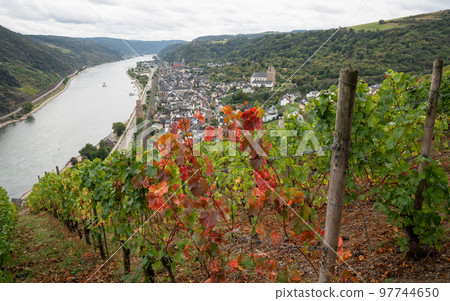 Oberwesel, Rhine valley, Rhineland-Palatinate, Germany 97744650