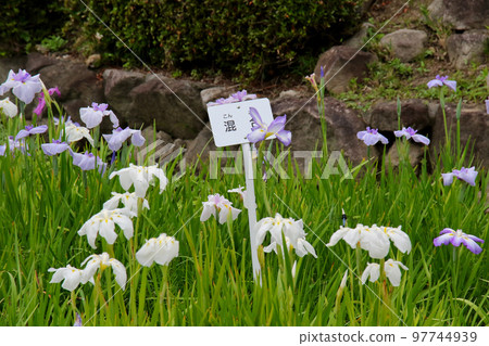池田市水月公園 Hanashobu 混合運動場 池田市水月公園 Hanashobu 混合運動場 97744939