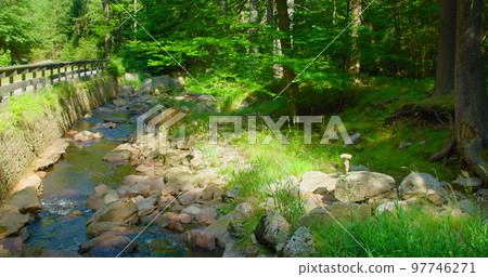 Mountain river in wild nature landscape. Green lush woodland in the morning. Mesmerizing flow of cold fresh water. Sun ray illuminate grass. Stream flowing in forest. Leisure activity. Creek, greenery Mountain river in wild nature landscape. Green lush woodland in the morning. Mesmerizing flow of cold fresh water. Sun ray illuminate grass. Stream flowing in forest. Leisure activity. Creek, greenery 97746271