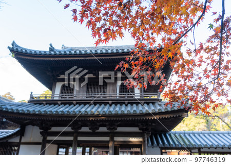 [德島縣]淨六寺的紅葉 97746319