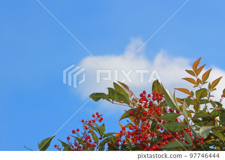 Blue sky and southern sky 97746444