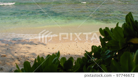 Green leaf bush at the beach on paradise island, perfect getaways for vacations. Turquoise clear ocean water, white sand. Sea waves roll on seaside. Green leaf bush at the beach on paradise island, perfect getaways for vacations. Turquoise clear ocean water, white sand. Sea waves roll on seaside. 97746672