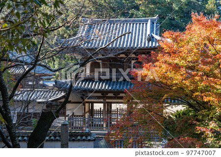 [德島縣]淨六寺的紅葉 97747007