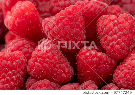 Fresh and sweet raspberries background. Fresh organic ripe raspberry. Bunch of red raspberries. top view Fresh and sweet raspberries background. Fresh organic ripe raspberry. Bunch of red raspberries. top view 97747249