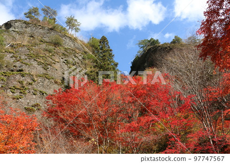 石鎚連峰的紅葉 97747567