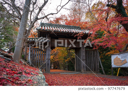 [Tokushima Prefecture] Autumn leaves at Jorokuji Temple 97747679