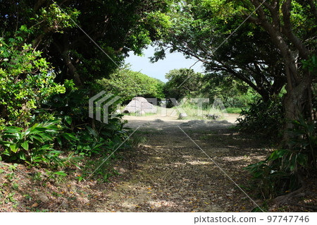 Entrance to the Nakabaru Ruins (remains of Jomon settlements), Ikei Island Entrance to the Nakabaru Ruins (remains of Jomon settlements), Ikei Island 97747746