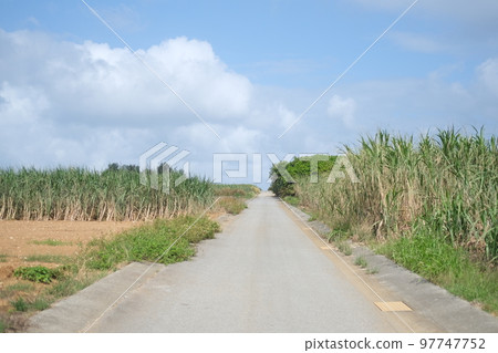 伊計島風景(沖繩縣) 伊計島風景(沖繩縣) 97747752