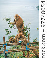 View from above on Kelingking Beach Nusa Penida, Bali. Vertical photo View from above on Kelingking Beach Nusa Penida, Bali. Vertical photo 97748054