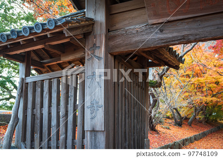 [Tokushima Prefecture] Autumn leaves at Jorokuji Temple 97748109