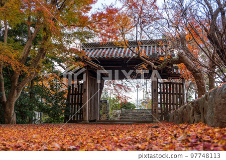 [Tokushima Prefecture] Autumn leaves at Jorokuji Temple 97748113