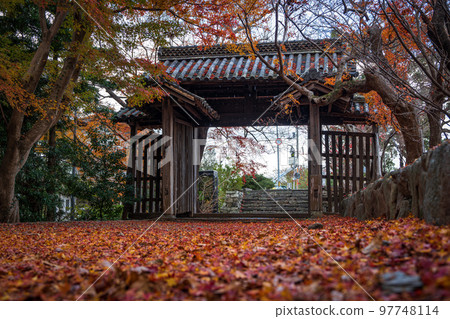 [德島縣]淨六寺的紅葉 97748114