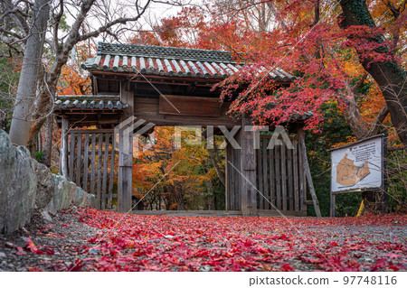 [Tokushima Prefecture] Autumn leaves at Jorokuji Temple 97748116
