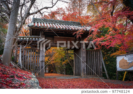 [Tokushima Prefecture] Autumn leaves at Jorokuji Temple 97748124