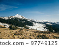 Snow-capped peaks in the mountains, coniferous forest, spring 97749125