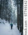 A man riding skis down a snow covered slope 97749142
