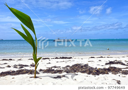 micro beach saipan 97749649