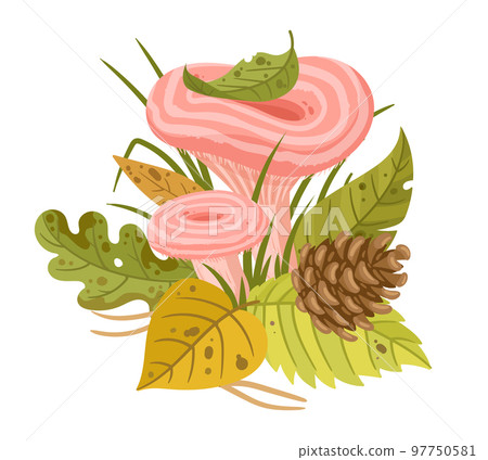 Cartoon forest mushroom, edible plant with leaves and grass. Fall seasonal woodland mushroom flat vector illustration. Autumn wavelet plant with foliage 97750581
