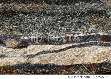 Macro mineral stone Snake eye in the rock a white background Macro mineral stone Snake eye in the rock a white background 97750726