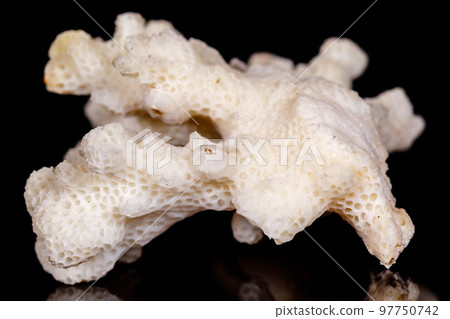Macro mineral stone Chalcedony geode on black background Macro mineral stone Chalcedony geode on black background 97750742