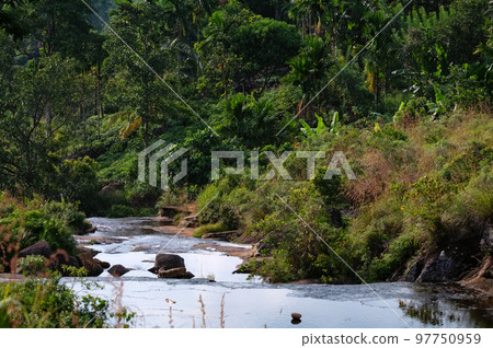 Scenic view of rainforest Sinharaja in Sri Lanka 97750959