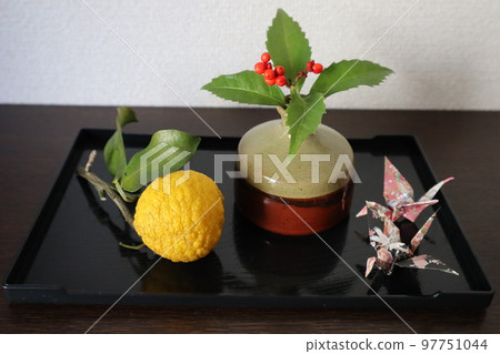 用花園裡的柚子裝飾入口 用花園裡的柚子裝飾入口 97751044