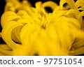 Gigantic 97751054