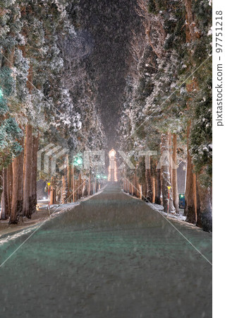 Hokkaido Hakodate Hokuto Trappist Monastery Light-up Christmas Row of trees Winter Winter scenery Hokkaido Hakodate Hokuto Trappist Monastery Light-up Christmas Row of trees Winter Winter scenery 97751218
