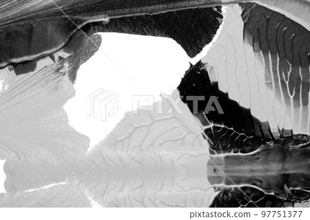black white abstract acrylic painting color texture on white paper background by using rorschach inkblot method black white abstract acrylic painting color texture on white paper background by using rorschach inkblot method 97751377