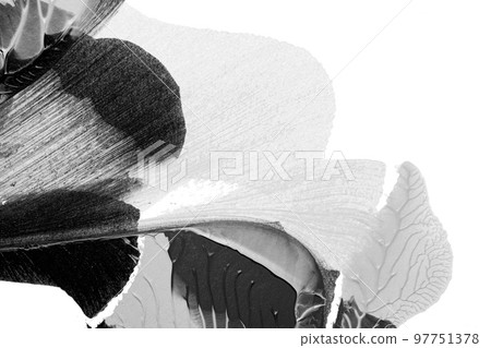 black white abstract acrylic painting color texture on white paper background by using rorschach inkblot method 97751378