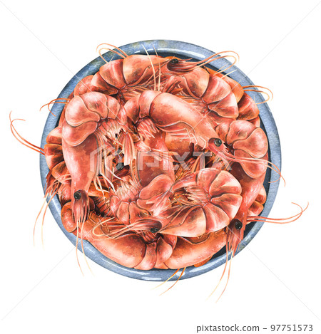 Boiled shrimp in a ceramic bowl. Watercolor illustration. Composition from the SHRIMP collection. For the design and design of menus, recipes, cafes, restaurants, shops, packaging, logos, price tags 97751573