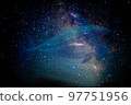 Dolphin 97751956