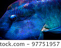 Napoleonic fish 97751957