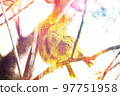 White-eye 97751958