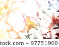 White-eye 97751960