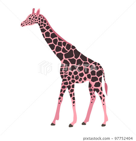 Vector flat hand drawn pink giraffe 97752404