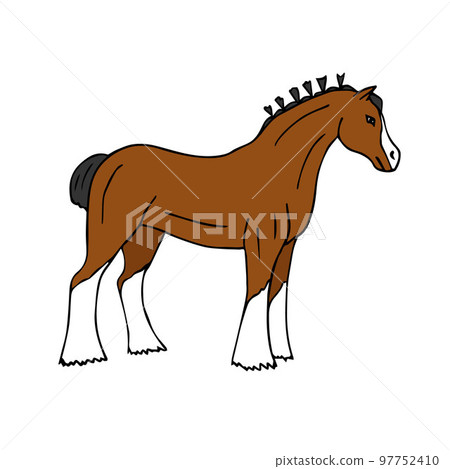 Vector hand drawn colored shire horse 97752410