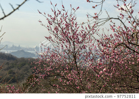 Spring in Tanematsuyama 97752811